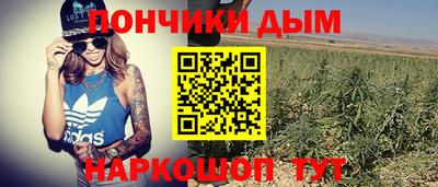 шишки Пугачёв